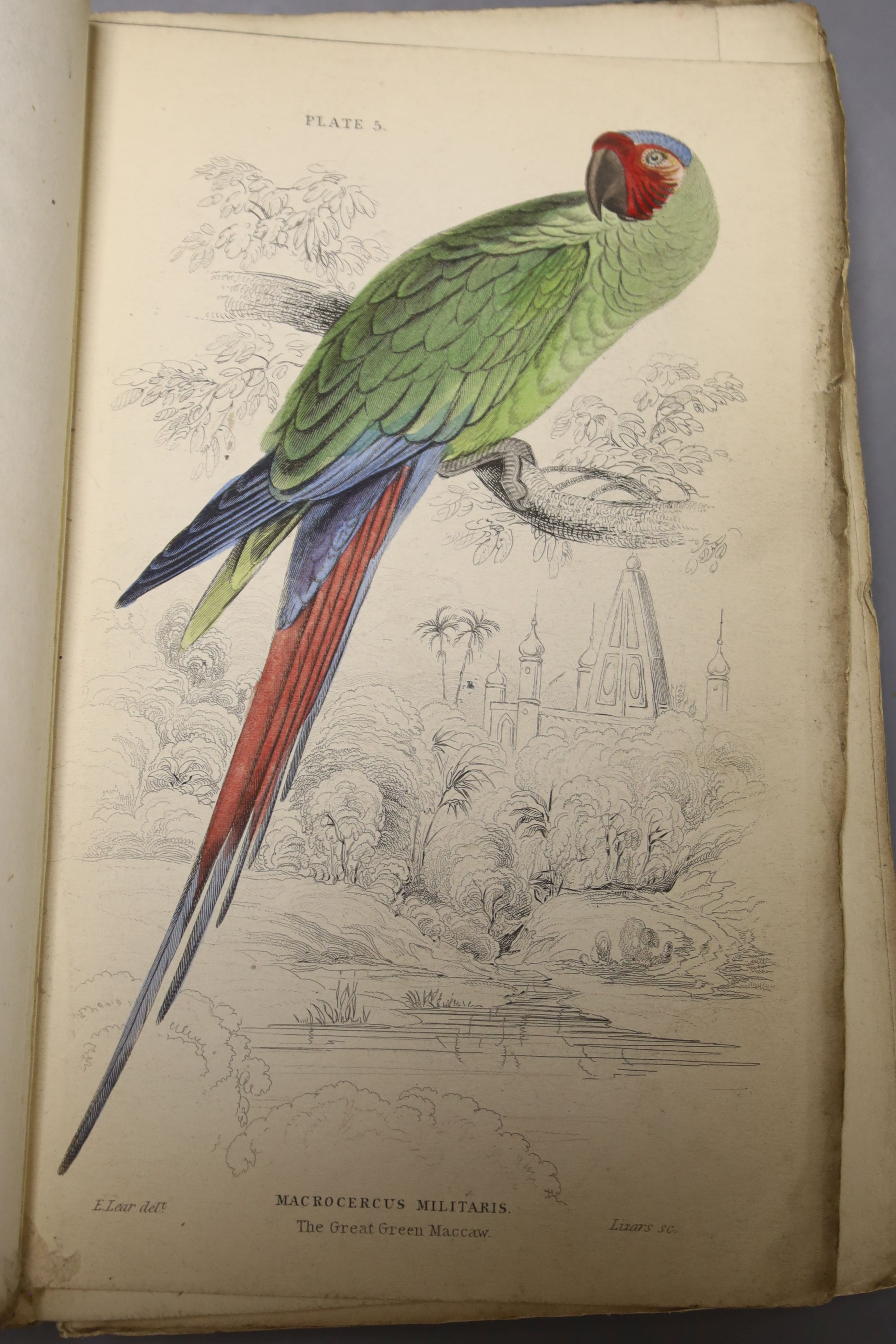 Selby, Prideaux J. Parrots (The Naturalist’s Library – Ornithology, vol.VI), portrait and 30 hand-coloured plates, publisher’s gilt-lettered cloth, sm.8vo, Edinburgh 1836